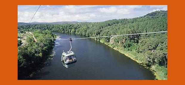 Skyrail-Gondola-Rainforest-Cableway-to-Kuranda-Village-Queensland-Australia