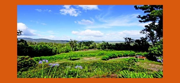 Wallaby-Ridge-Retreat-Gold-Coast-Scenic-Rim-Accommodation.png