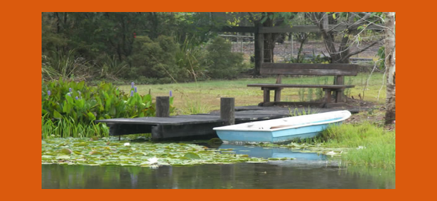 Barney-Creek-Cottages-Border-Ranges.png