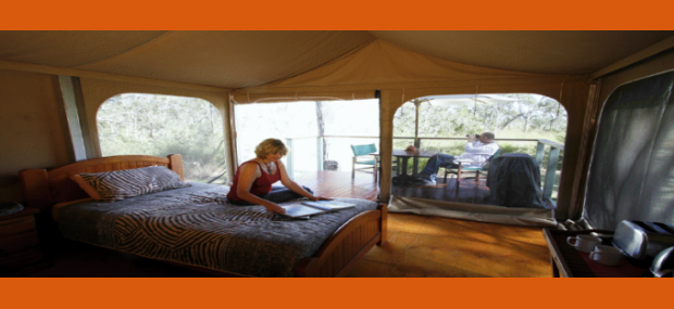 Jabiru Safari Eco Lodge Mareeba Australia