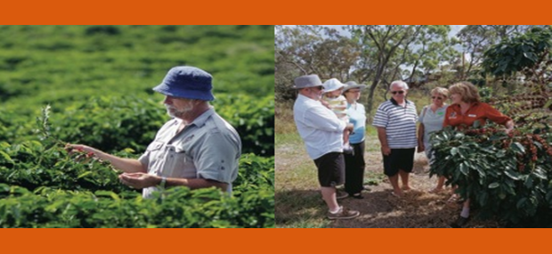 Skybury Australian Coffee Centre Mareeba