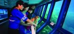 Great-Adventures-Great-Barrier-Reef-Cruise-to-Norman-Reef-Underwater-Observatory