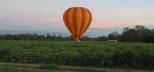 Gold-Coast-Hinterland-Hot-Air-Ballooning-at-Sunrise