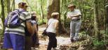 Southern-Cross-Private-Charters-Gold-Coast-Day-Tours