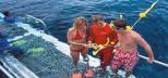 Quicksilver-Outer-Great-Barrier-Reef-Tour-Pontoon-Snorkelling